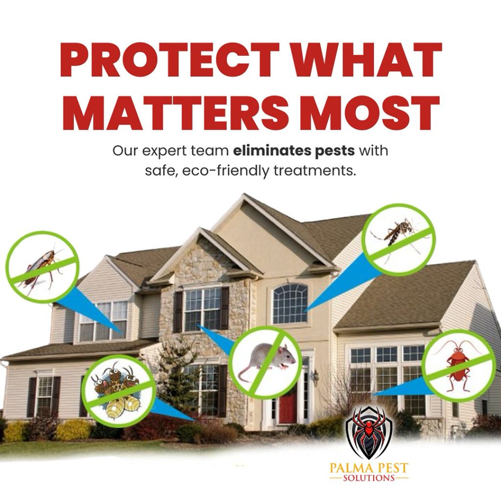 A4AA1AE2-16D1-406B-9885-64988B4C6C20-1768582353025-rs7c4t